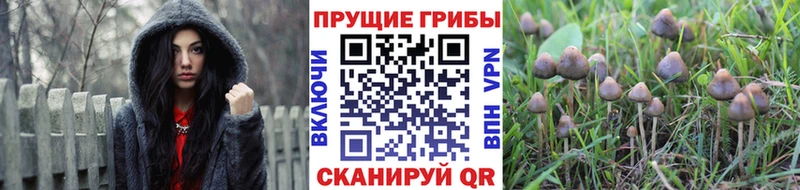 Псилоцибиновые грибы Psilocybine cubensis MEGA вход Новоуральск